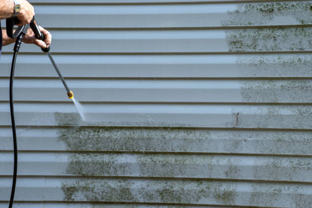 Best Shed Removal  in Slidell, LA
